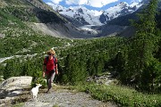 88 Bellissima la valle glaciale del Morteratsch